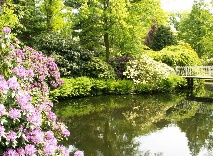 Arboretum Lohbrügge, Hamburg, Germany, Germany